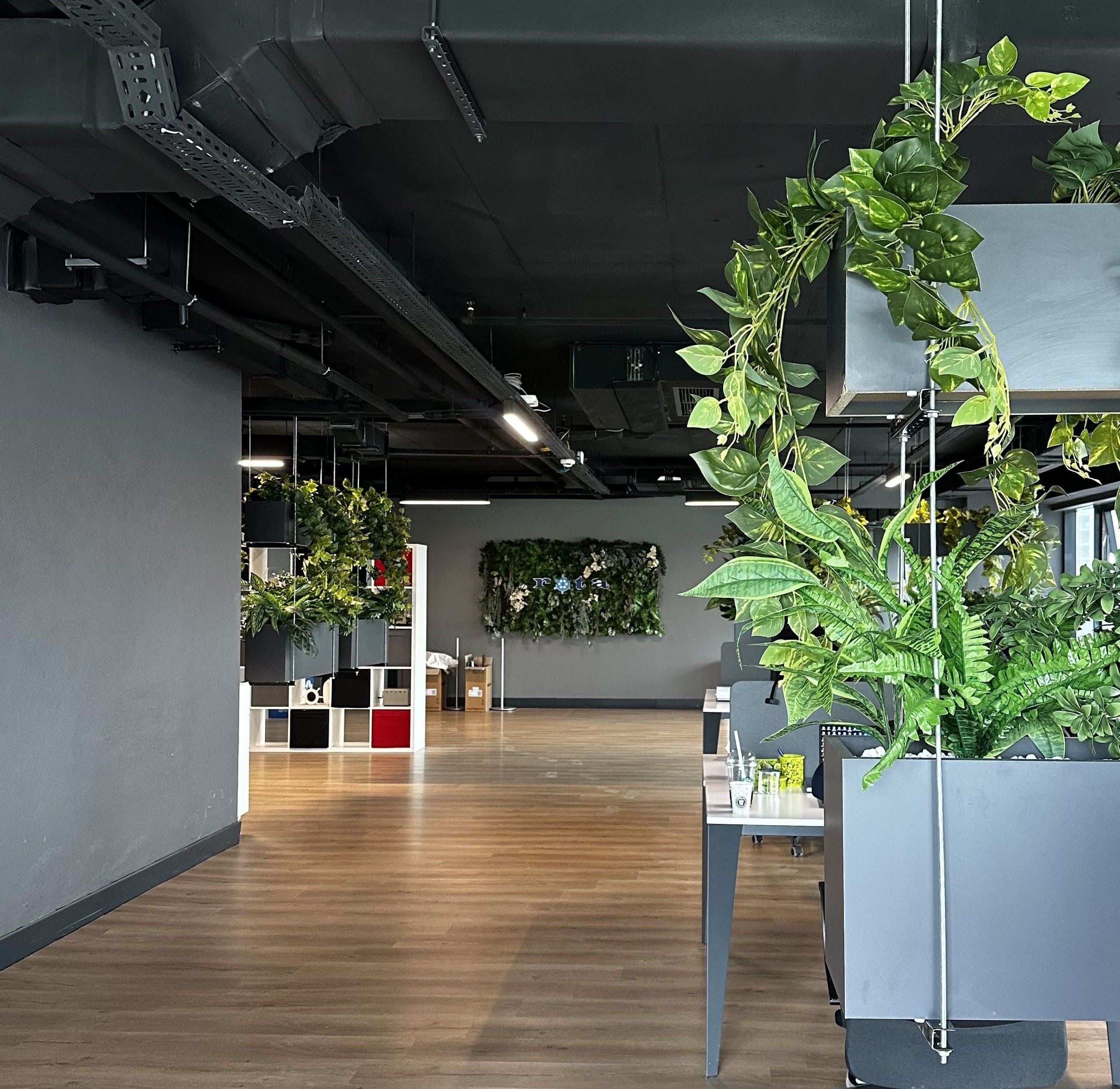 Rota Ofis